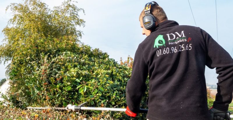 Taille de haie par une entreprise de paysagiste près de Montereau