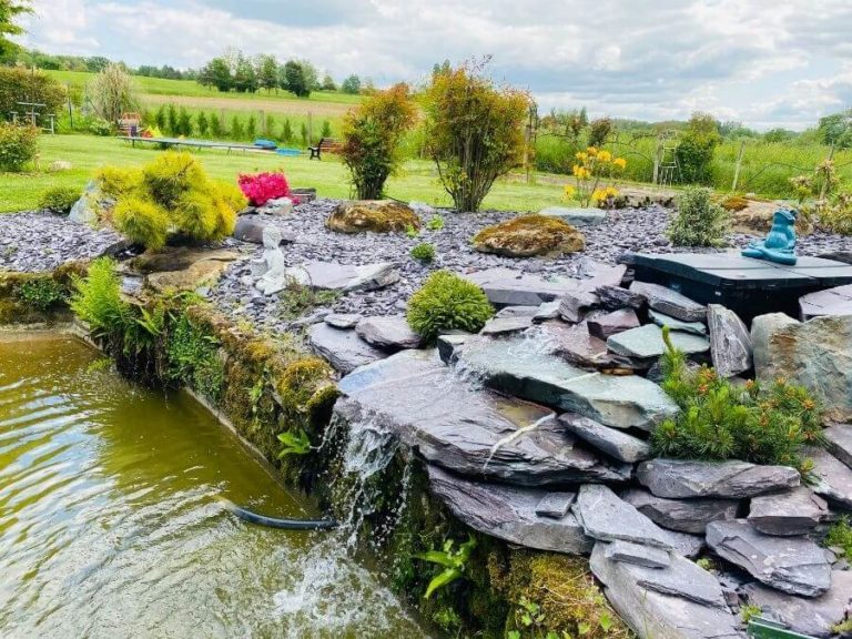 création d'une mare dans un jardin en Seine et Marne