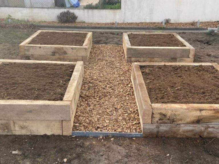 Création de carré potager