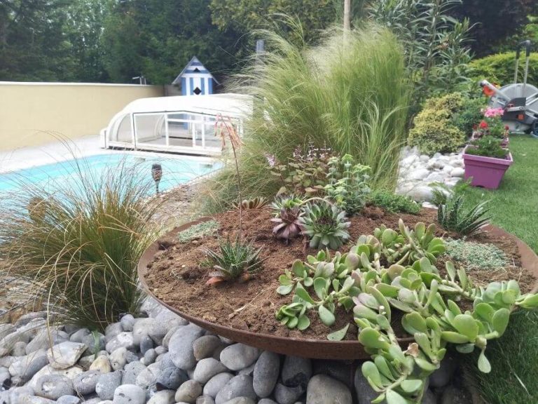Composition d'un parterre de plantes grasses