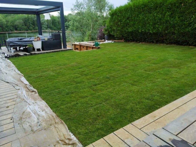engazonnement dans un jardin en Seine et Marne