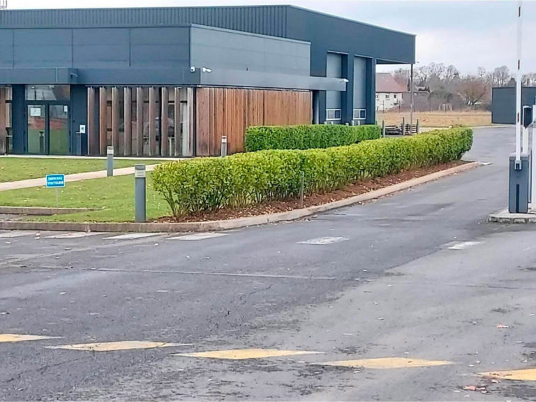Plantations pour les espaces verts d'une entreprise
