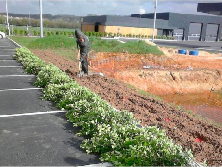 Plantations pour les espaces verts d'une entreprise