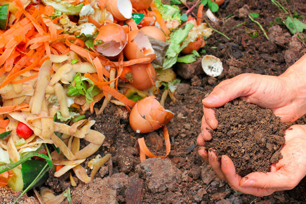 Le Compost : de la Poubelle au Trésor du Jardin