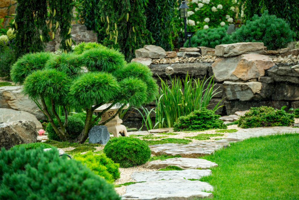 aménagement jardin