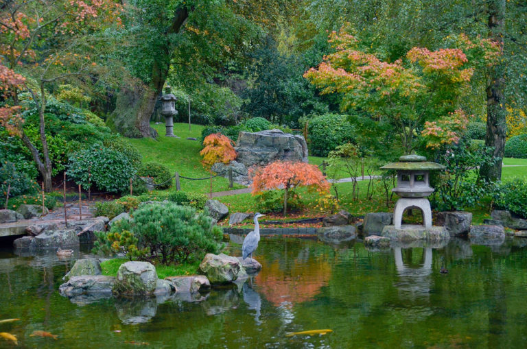 photo d'un jardin japonais. On y voit de nombreuses végétation dans l'arrière plan, ainsi qu'une lanterne japonaise en pierre. Au premier plan se trouve une étendue d'eau, sur laquelle se reflète la végétation.