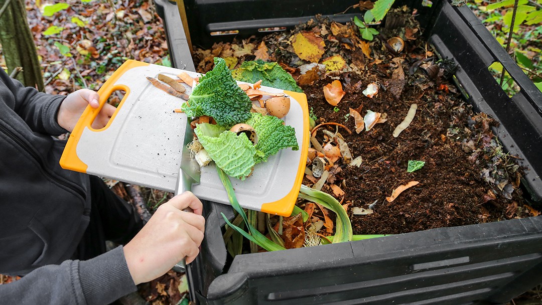une personne glisse des déchets de cuisine dans un compost à l'aide d'un couteau