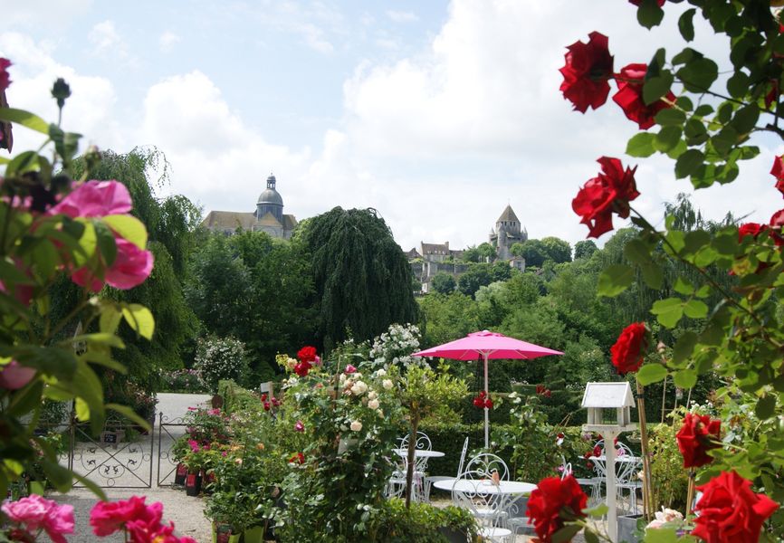 roseraie de provins