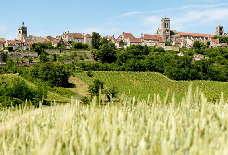 Yonne