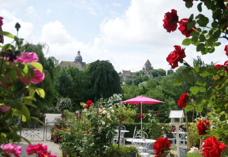 roseraie de provins