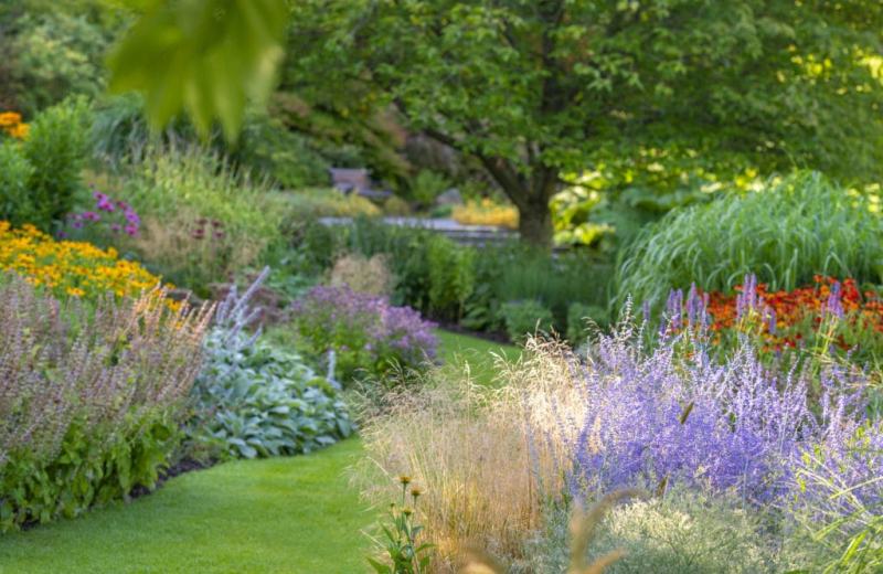 Préparez votre jardin pour l'été avec nos astuces d'entretien, choix des plantes résistantes à la chaleur et conseils d'arrosage efficace.