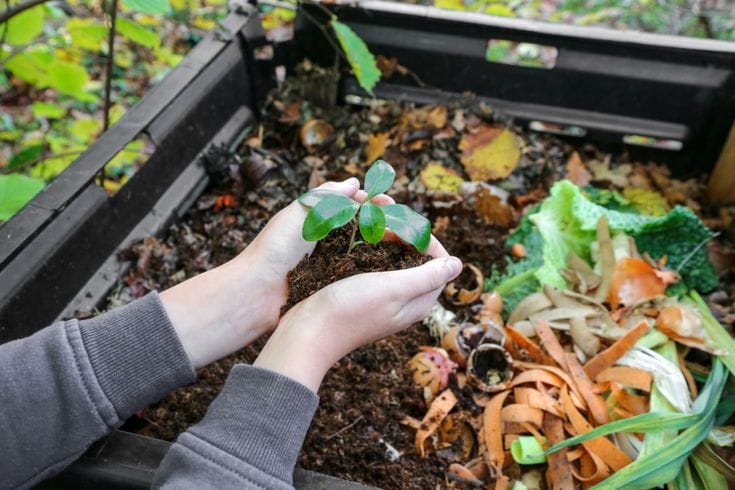 Découvrez nos conseils pour réussir votre compost en été : maintenir l’humidité, éviter les odeurs et optimiser la décomposition malgré la chaleur.