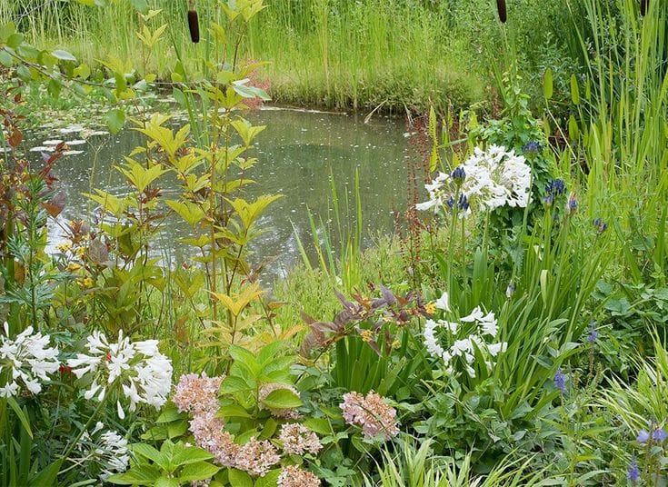 Entretien de jardin avec un service à la personne : valorisez votre extérieur et profitez d’un espace écologique grâce à l’aide de professionnels qualifiés.