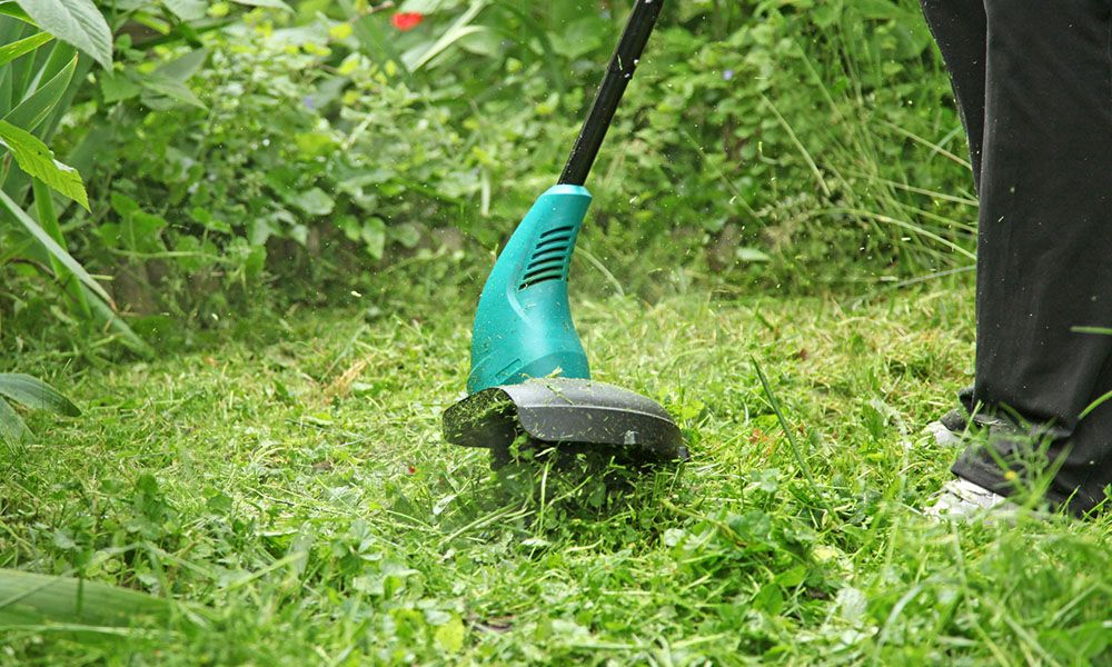 Découvrez les outils indispensables pour l'entretien de vos espaces verts. Du sécateur à la tondeuse, équipez-vous comme un pro du jardinage.