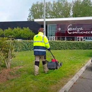 entretien de jardin pour les entreprises en Seine et Marne